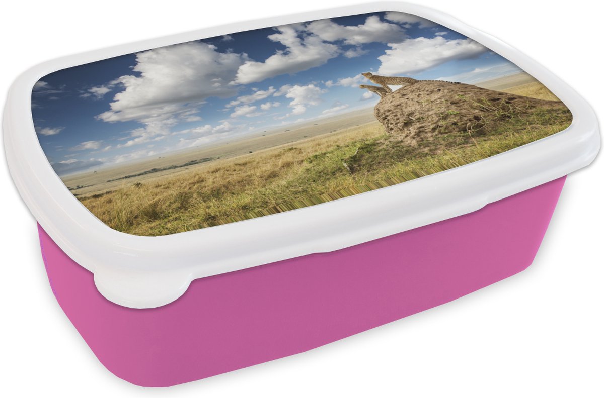 Broodtrommel Roze - Lunchbox - Brooddoos - Cheeta's - Stenen - Gras - 18x12x6 cm - Kinderen - Meisje