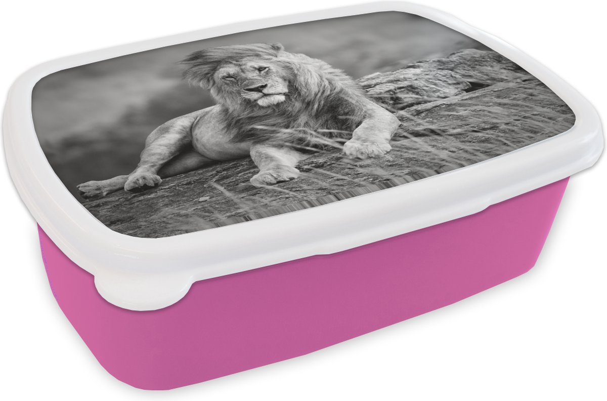 Broodtrommel Roze - Lunchbox - Brooddoos - Leeuwen - Wild - Zwart - Wit - 18x12x6 cm - Kinderen - Meisje