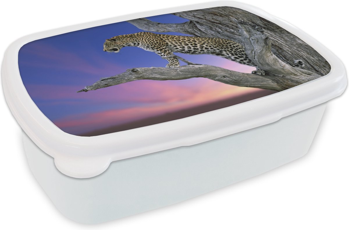Broodtrommel Wit - Lunchbox - Brooddoos - Luipaard - Boom - Tak - 18x12x6 cm - Volwassenen