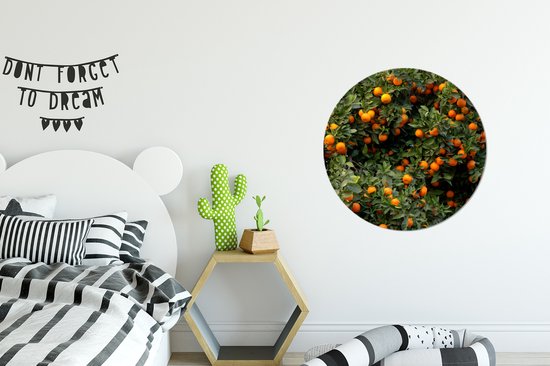 Wall Circle - Wall Circle Indoor - Orange - Arbre - Fruit - 60x60 cm - Décoration murale - Peintures Ronds