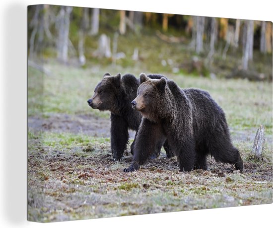 Twee beren in het moerras Canvas 180x120 cm - Foto print op Canvas schilderij (Wanddecoratie)