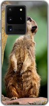 Geschikt voor Samsung Galaxy S20 Ultra hoesje - Stokstaartje - Dier - Rots - Siliconen Telefoonhoesje