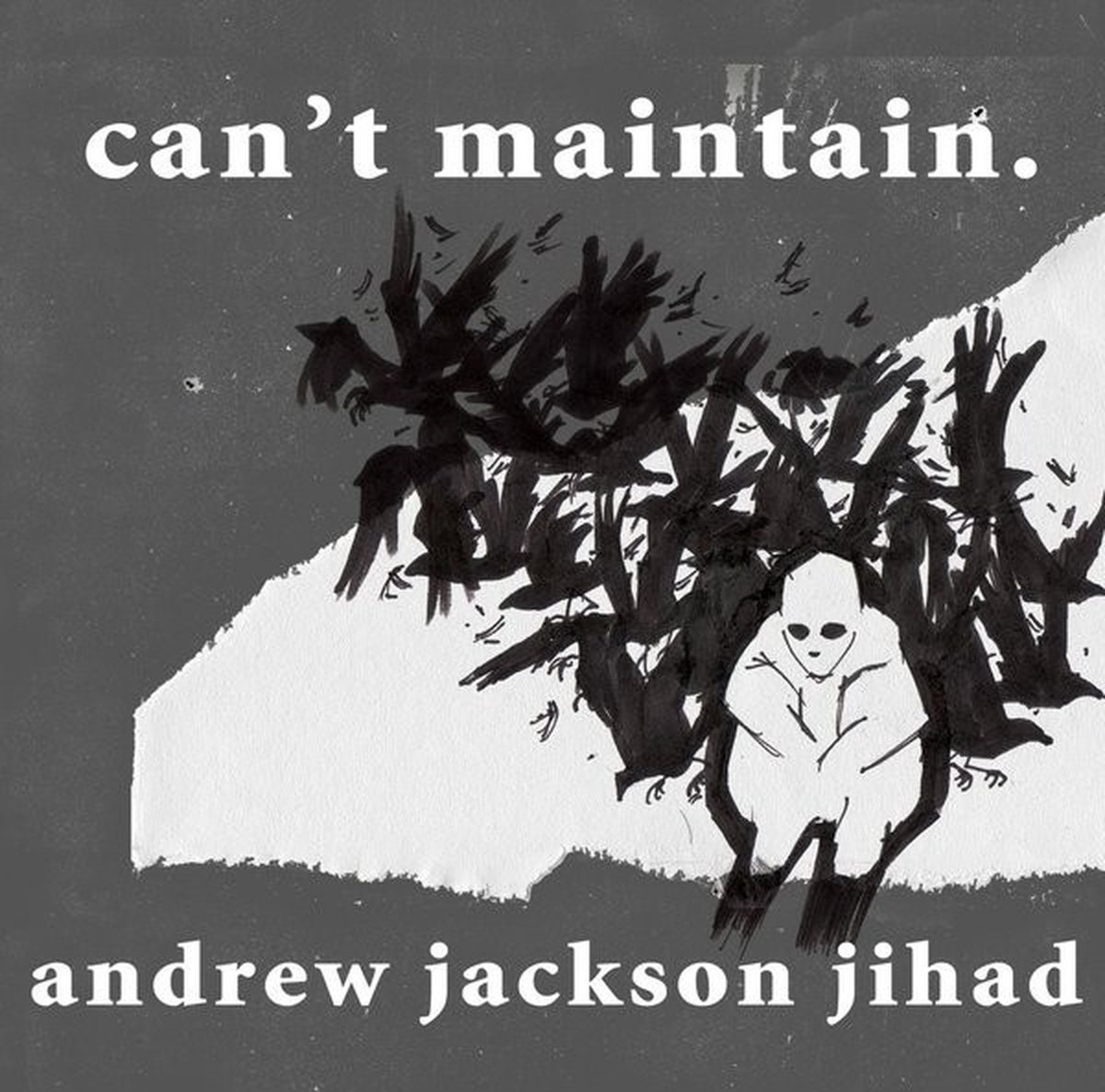 Andrew Jackson Jihad - Can't Maintain (LP)
