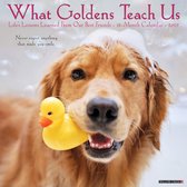 What Goldens Teach Us Kalender 2022