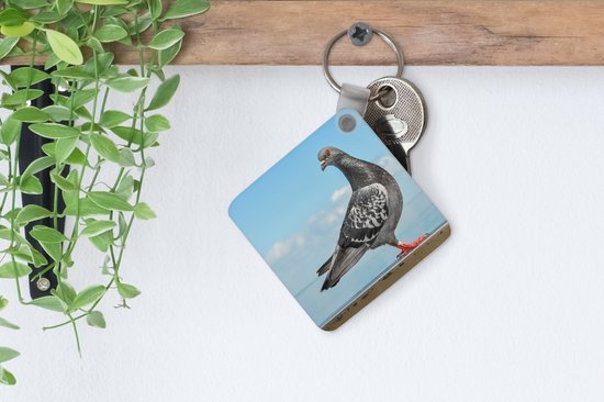 Porte-clés Duif - Une colombe grise devant un ciel bleu Porte-clés plastique - Porte-clés carré avec photo
