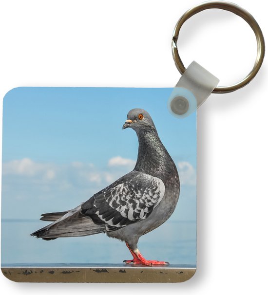 Porte-clés Duif - Une colombe grise devant un ciel bleu Porte-clés plastique - Porte-clés carré avec photo