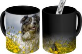 Magische Mok - Foto op Warmte Mok - Een border collie tussen de gele bloemen - 350 ML