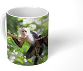 Mok - Panamese kapucijn klimt in boom - 350 ML - Beker