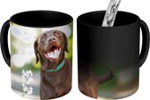 Magische Mok - Foto op Warmte Mokken - Koffiemok - Een Labrador Retriever met mooie bloemen - Magic Mok - Beker - 350 ML - Theemok