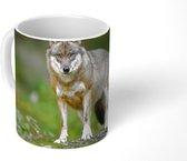 Mok - Koffiemok - Wolf - Azië - Planten - Mokken - 350 ML - Beker - Koffiemokken - Theemok