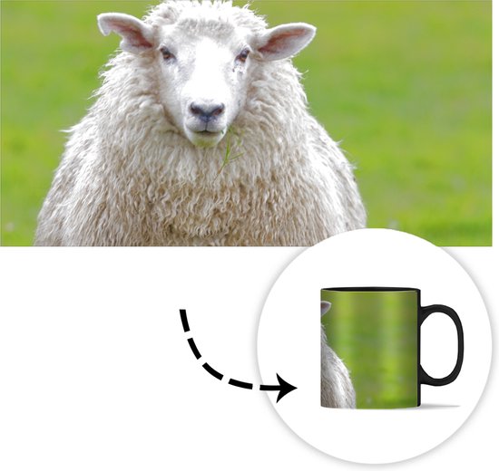 Mug Magique - Mug Photo Chauffant - Mouton - Herbe - Animal de la Ferme -  350 ML