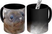 Magic Mug - Photo on Heat Mugs - Coffee Mug - Sea Lion - Young - Beach - Magic Mug - Cup - 350 ML - Tea Mug - Sinterklaas decoration - Distribution de cadeaux pour les enfants - Chaussures cadeaux Sinterklaas