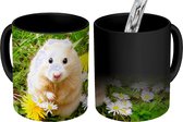 Magische Mok - Foto op Warmte Mokken - Koffiemok - Hamster tussen bloemen - Magic Mok - Beker - 350 ML - Theemok