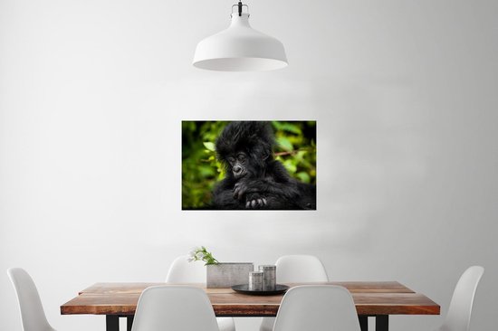 Affiche Gros plan jeune gorille - 60x40 cm