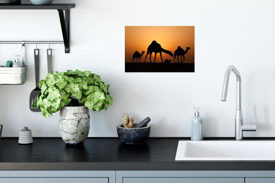 Affiche Silhouettes de chameaux au coucher du soleil - 30x20 cm