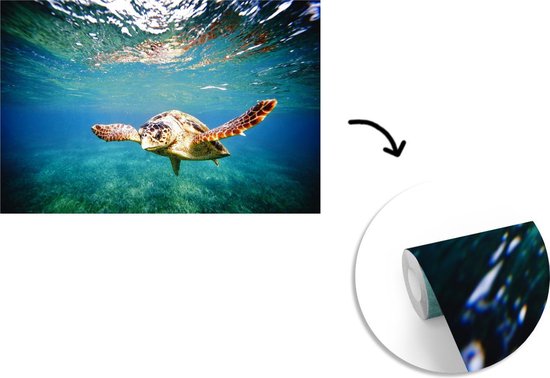 Behang - Fotobehang Schildpad - Water - Blauw - Breedte 525 cm x hoogte 350 cm