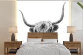 Behang - Fotobehang Schotse hooglander - Dier - Zwart - Wit - Breedte 300 cm x hoogte 300 cm