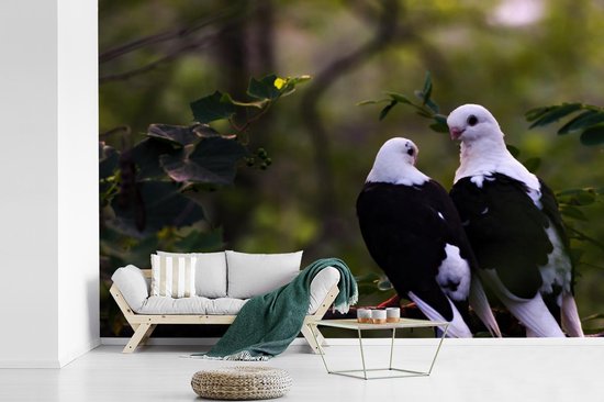 Papier peint photo peint vinyle - Deux oiseaux sur une branche largeur 360 cm x hauteur 240 cm - Tirage photo sur papier peint (disponible en 7 tailles)