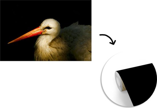 Papier peint Papier peint photo en vinyle - Portrait photo oiseau sur fond noir largeur 360 cm x hauteur 240 cm - Tirage photo sur papier peint (disponible en 7 tailles)