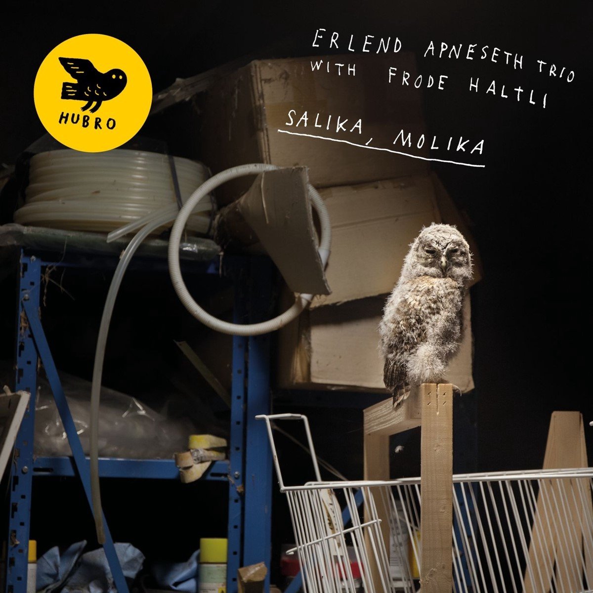 Salika Molika (CD) - Erlend Apneseth Trio