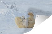 Muurdecoratie IJsbeer - Sneeuw - Dieren - 180x120 cm - Tuinposter - Tuindoek - Buitenposter