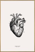 JUNIQE - Poster met kunststof lijst Menselijk hart -40x60 /Grijs &