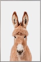 JUNIQE - Poster met kunststof lijst Ezel - Kleuren Fotografie -20x30