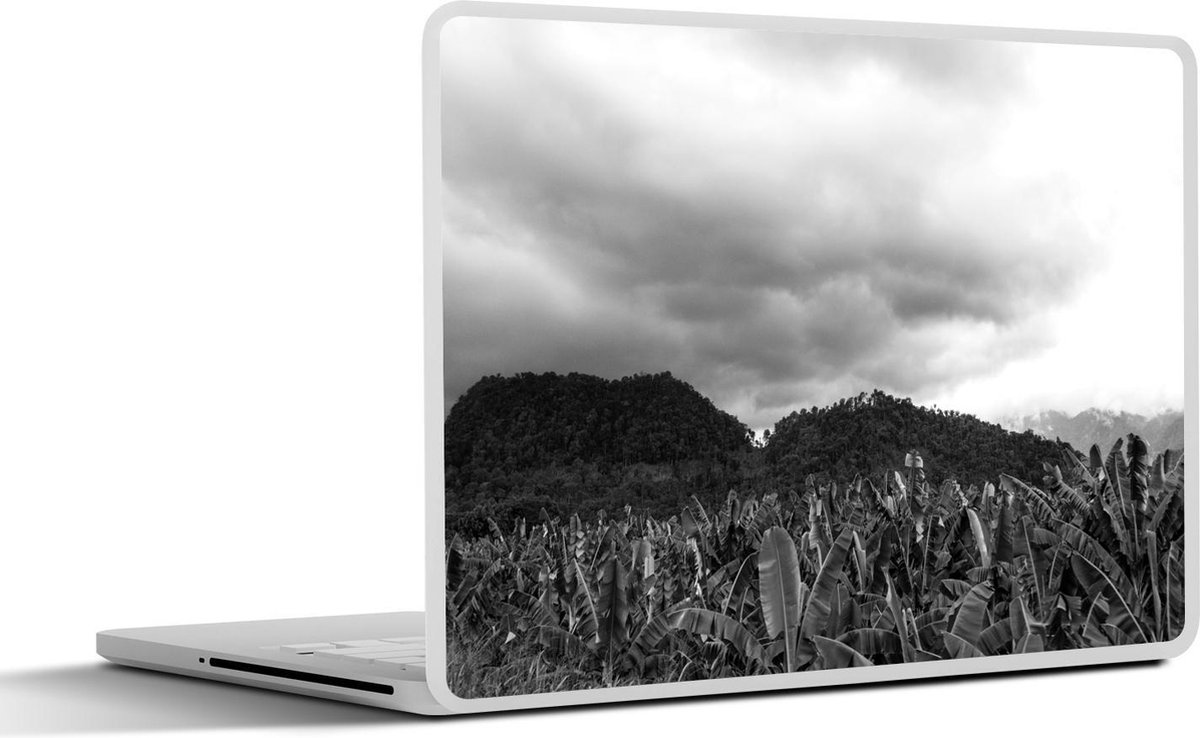 Afbeelding van product SleevesAndCases  Laptop sticker - 13.3 inch - Veld vol bananenbomen voor de bergen - zwart wit