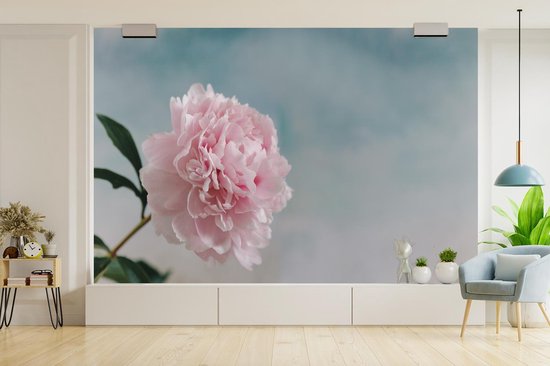 Papier peint photo vinyle - Une fleur rose et botanique avec un ciel coloré largeur 330 cm x hauteur 220 cm - Tirage photo sur papier peint (disponible en 7 tailles)