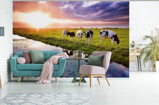 Behang - Fotobehang Koeien tijdens een zonsondergang - Breedte 420 cm x hoogte 280 cm