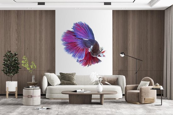 Papier Peint - Papiers Papier peint photo Poissons - Animaux aquatiques Marines - Staart - Largeur 170 cm x Hauteur 260 cm