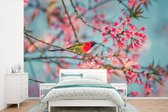 Behang - Fotobehang Vogel - Sakura - Kleuren - Breedte 420 cm x hoogte 280 cm