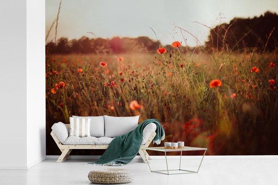 Papier peint photo vinyle - Champ d'herbes hautes et coquelicots au coucher du soleil largeur 600 cm x hauteur 400 cm - Tirage photo sur papier peint (disponible en 7 tailles)