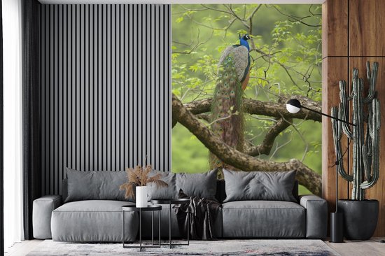 Papier peint - Papier peint photo Paon - Ressorts - Arbre - Largeur 195 cm x hauteur 300 cm