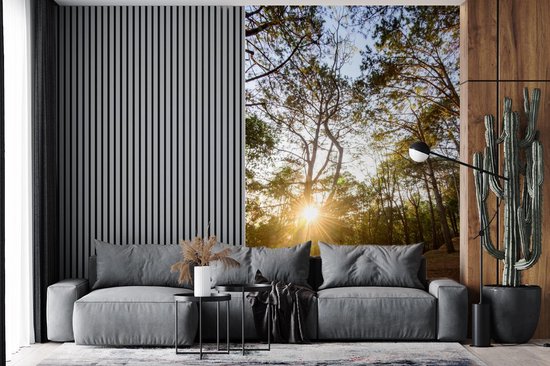 Papier Peint - Papiers Papier peint photo Le soleil se lève entre les arbres dans la forêt du parc national Phu Hin Rong Kla - Largeur 180 cm x Hauteur 280 cm