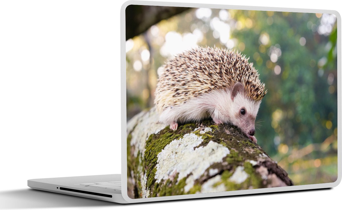 Laptop sticker - 14 inch - Kruipende egel op een tak - 32x5x23x5cm - Laptopstickers - Laptop skin - Cover