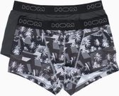 2 Boxershorts Hom Palm Poster