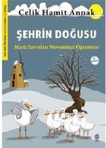 Şehrin Doğusu: Martı Yavruları Mevsimleri Öğreniyor - Meraklı Martılar ve Çevremiz 3. Kitap