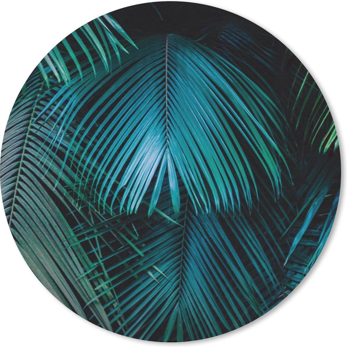 Muismat rond 20x20 cm - Mousepad Palmbomen - Jungle - Bladeren - Ronde muismatten
