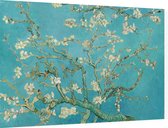 Amandelbloesem, Vincent van Gogh - Foto op Dibond - 60 x 40 cm