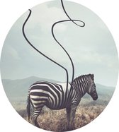 Abstracte zebra - Foto op Dibond - ⌀ 80 cm