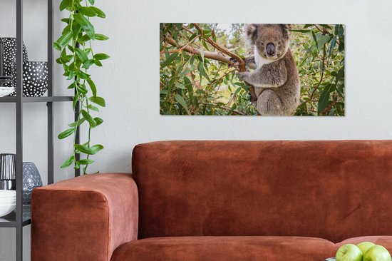 Tableau sur Toile Koala - Arbre - Feuilles - Enfants - Garçons - Meiden - 80x40 cm - Décoration murale
