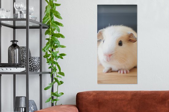 Tableau sur toile Bébé cochon d'Inde mignon - 40x80 cm - Décoration murale