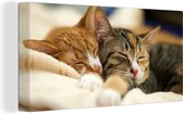 Schilderij kat - Twee katten - Kittens - Slapen - Kleed - Close up - Canvas kat - Katten schilderij - Wanddecoratie - 80x40 cm