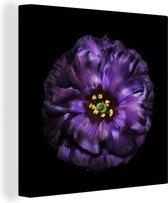 Une fleur violette qui est représentée sur une toile de fond noir 90x90 cm - Tirage photo sur toile (Décoration murale salon / chambre) / Peintures Fleurs sur toile