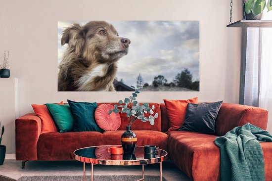 Affiche Chien qui regarde fixement - 150x75 cm