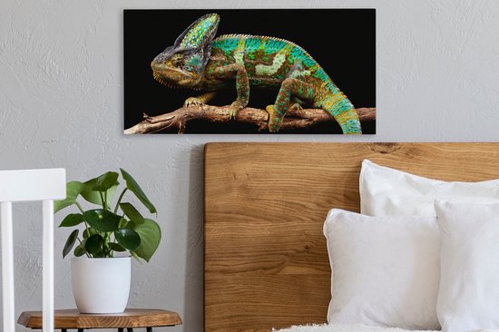 Tableau sur toile Caméléon - Branche - Vert - 40x20 cm - Décoration murale