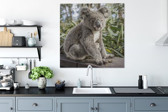 Tableau Toile Koala - Bois - Plantes - 90x90 cm - Décoration murale