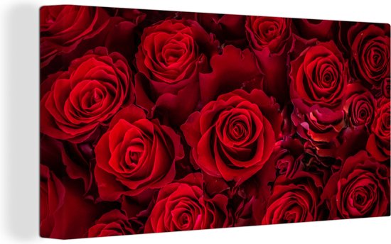 Canvas schilderij 160x80 cm - Wanddecoratie Bloemen - Rozen - Rood - Muurdecoratie woonkamer - Slaapkamer decoratie - Kamer accessoires - Schilderijen