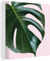 Canvas Schilderij Monsterablad met een roze achtergrond - 50x50 cm - Wanddecoratie